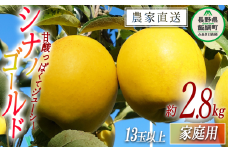 りんご シナノゴールド ( 13玉 〜 ） 家庭用 2.8kg 信州りんご☆小山園☆ 沖縄県への配送不可 2025年11月中旬頃から2025年11月下旬頃まで順次発送予定 令和7年度収穫分 エコファーマー認定 小山園 信州 果物 フルーツ リンゴ 林檎 長野 12000円 予約 農家直送 長野県 飯綱町 [1059]