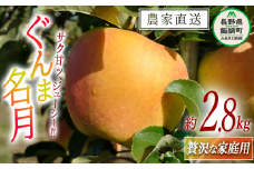 りんご ぐんま名月 贅沢な 家庭用 2.8kg 信州りんご☆小山園☆ 沖縄県への配送不可 2025年11月中旬頃から2025年11月下旬頃まで順次発送予定 令和7年度収穫分 エコファーマー認定 小山園 信州 果物 フルーツ リンゴ 林檎 長野 12000円 予約 農家直送 長野県 飯綱町 [1060]