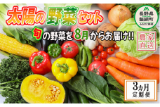 野菜 太陽の野菜セット 【 8月から 3か月 定期便 】 季節ごと旬の野菜  配送先は本州限定 2025年8月中旬頃から2025年10月中旬頃まで順次発送予定 ビオ農産物 太陽の恵み ( 化学肥料 除草剤 不使用 ) 長野県 飯綱町 [1041]