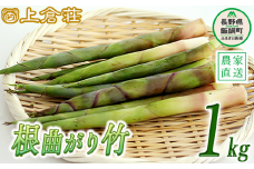 信州産 根曲がり竹 約 1kg サバ缶 1缶付き 上倉荘 配送先は本州限定 2023年5月中旬頃から2023年6月下旬頃まで順次発送予定 信州 山菜 竹の子 姫竹 タケノコ 野菜 14500円 長野県 飯綱町 [1095]