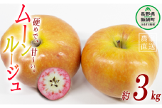 りんご ムーンルージュ 3kg やまじゅうファーム 沖縄県への配送不可 2025年10月下旬頃から2025年11月上旬頃まで順次発送予定 令和7年度収穫分 信州の環境にやさしい農産物 減農薬栽培 長野県 飯綱町 [1026]