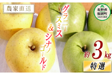 りんご シナノゴールド ＆ グラニースミス 特選 3kg 詰め合わせ セット やまじゅうファーム 沖縄県への配送不可 2025年11月下旬頃から2025年12月上旬頃まで順次発送予定 令和7年度収穫分 信州の環境にやさしい農産物 減農薬栽培 長野県 飯綱町 [1029]