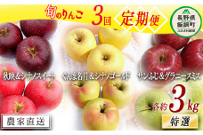 旬のりんご 【 定期便 】 2品種 詰め合わせ 特選 3kg × 3回 やまじゅうファーム 沖縄県への配送不可 2025年10月中旬頃から2025年12月下旬頃まで順次発送予定 令和7年度収穫分 信州の環境にやさしい農産物 減農薬栽培 長野県 飯綱町 [1031]