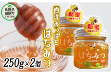 西洋みつばち の はちみつ 250g × 2個 ブンブン渋沢 沖縄県への配送不可 信州 蜂蜜 ハチミツ はちみつ ハニー 加工食品 国産 ご当地 長野 14000円 農家直送 長野県 飯綱町 [1119]