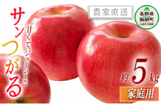 りんご サンつがる 家庭用 5kg 関農園 沖縄県への配送不可 2025年8月下旬頃から2025年9月上旬頃まで順次発送予定 エコファーマー認定 令和7年度収穫分 信州 果物 フルーツ リンゴ 林檎 長野 11500円 予約 農家直送 長野県 飯綱町 [1087]