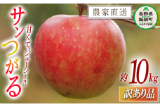 りんご サンつがる 訳あり 10kg 関農園 沖縄県への配送不可 2025年8月下旬頃から2025年9月上旬頃まで順次発送予定 エコファーマー認定 令和7年度収穫分 傷 不揃い リンゴ 林檎 果物 フルーツ 信州 長野 16500円 予約 農家直送 長野県 飯綱町 [1088]
