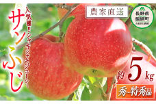 りんご サンふじ 秀 ～ 特秀 5kg 関農園 沖縄県への配送不可 2025年12月上旬頃から2025年12月下旬頃まで順次発送予定 エコファーマー認定 令和7年度収穫分 信州 果物 フルーツ リンゴ 林檎 長野 17000円 予約 農家直送 長野県 飯綱町 [1092]