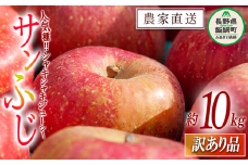 りんご サンふじ 訳あり 10kg 関農園 沖縄県への配送不可 2025年12月上旬頃から2025年12月下旬頃まで順次発送予定 エコファーマー認定 令和7年度収穫分 傷 不揃い リンゴ 林檎 果物 フルーツ 信州 長野 19000円 予約 農家直送 長野県 飯綱町 [1094]