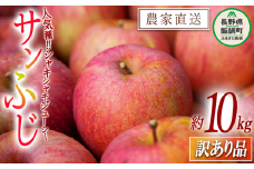 りんご サンふじ 訳あり 10kg 中村ファーム ( 中村りんご農園 ) 沖縄県への配送不可 2024年11月下旬頃から2025年2月中旬頃までお申込み順に発送予定 令和6年度収穫分 長野県 飯綱町 [1062]