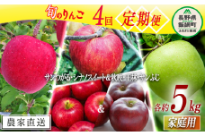 旬のりんご 【 定期便 】 家庭用 5kg × 4回 中村ファーム 沖縄県への配送不可 2025年9月上旬頃から2025年12月下旬頃までお申込み順に発送予定 令和7年度収穫分 長野県 飯綱町 [1063]