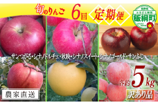 旬のりんご 【 定期便 】 訳あり 5kg × 6回 マルヤマフルーツ農園 沖縄県への配送不可 2024年9月上旬頃から2024年12月下旬頃までお申込み順に発送予定 令和6年度収穫分 減農薬栽培 ( 除草剤 化学肥料 不使用 ) 長野県 飯綱町 [1081]