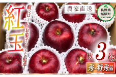 りんご 紅玉 秀 ～ 特秀 3kg サイズおまかせ 井澤農園 沖縄県への配送不可 2025年10月上旬頃から2025年11月中旬頃まで順次発送予定 令和7年度収穫分 エコファーマー認定 減農薬栽培 化学肥料不使用 信州 果物 フルーツ リンゴ 林檎 長野 14500円 予約 農家直送 長野県 飯綱町 [1065]