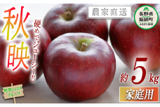 りんご 秋映 家庭用 5kg 沖縄県への配送不可 2025年9月下旬頃から2025年10月中旬頃まで順次発送予定 町田さんちのりんご 長野県 飯綱町 [1136]