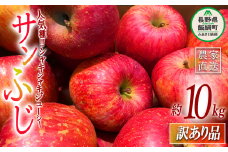 りんご サンふじ 訳あり 10kg 大垣農園 沖縄県への配送不可 2025年11月下旬頃から2025年12月下旬頃まで順次発送予定 令和7年度収穫分 傷 不揃い リンゴ 林檎 果物 フルーツ 信州 長野 17000円 予約 農家直送 長野県 飯綱町 [1133]