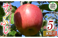 りんご サンふじ 家庭用 5kg 大垣農園 沖縄県への配送不可 2025年11月下旬頃から2025年12月下旬頃まで順次発送予定 令和7年度収穫分 信州 果物 フルーツ リンゴ 林檎 長野 12000円 予約 農家直送 長野県 飯綱町 [1132]