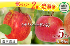 旬のりんご 【 定期便 】 秀 ～ 特秀 5kg × 2回 渡辺農園 沖縄県への配送不可 2025年10月中旬頃から2025年12月中旬頃まで順次発送予定 令和7年度収穫分 エコファーマー認定 減農薬栽培 長野県 飯綱町 [1147]