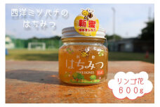 はちみつ 信州 飯綱町産 『西洋みつばち』ハチミツ ＜リンゴ花＞ 600g ※沖縄および離島への配送不可 ブンブン渋沢 長野県飯綱町 [1148]