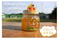 はちみつ 信州 飯綱町産 『西洋みつばち』ハチミツ ＜アカシア＞ 600g ※沖縄および離島への配送不可 ブンブン渋沢 長野県飯綱町 [1149]