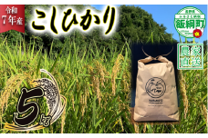 米 こしひかり 5kg ( 令和7年産 ) ファームトヤ 沖縄県への配送不可 2025年10月上旬頃から順次発送予定 コシヒカリ 白米 精米 お米 信州 17500円 予約 農家直送 長野県 飯綱町 [1137]