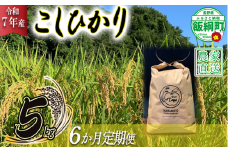 米 こしひかり 5kg × 6回 【 6か月 定期便 】( 令和7年産 ) ファームトヤ 沖縄県への配送不可 2025年10月上旬頃から順次発送予定 コシヒカリ 白米 精米 お米 信州 105000円 予約 農家直送 長野県 飯綱町 [1138]
