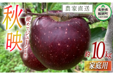 りんご 秋映 家庭用 10kg ファームトヤ 2025年10月上旬頃から2025年10月下旬頃まで順次発送予定 令和7年度収穫分 信州 果物 フルーツ リンゴ 林檎 秋映 りんご3兄弟 長野 24000円 予約 農家直送 長野県 飯綱町 [1141]