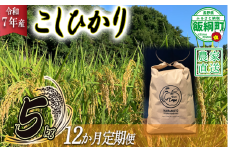 米 こしひかり 5kg × 12回 【 12か月 定期便 】( 令和7年産 ) ファームトヤ 沖縄県への配送不可 2025年10月上旬頃から順次発送予定 コシヒカリ 白米 精米 お米 信州 210000円 予約 農家直送 長野県 飯綱町 [1139]