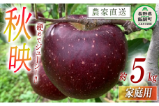 りんご 秋映 家庭用 5kg ファームトヤ 沖縄県への配送不可 2025年10月上旬頃から2025年10月下旬頃まで順次発送予定 令和7年度収穫分 信州 果物 フルーツ リンゴ 林檎 秋映 りんご3兄弟 長野 14000円 予約 農家直送 長野県 飯綱町 [1140]