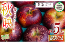 りんご 秋映 訳あり 5kg 沖縄県への配送不可 2024年9月下旬頃から2024年10月中旬頃まで順次発送予定 町田さんちのりんご 長野県 飯綱町 [1150]
