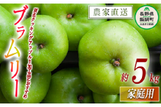 りんご ブラムリー 家庭用 5kg 山岸ファーム 沖縄県への配送不可 2025年8月中旬頃から2025年8月下旬頃まで順次発送予定 令和7年度収穫分 信州 果物 フルーツ リンゴ 林檎 長野 11000円 予約 農家直送 長野県 飯綱町 [1151]