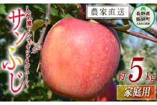 りんご サンふじ 家庭用 5kg 山岸ファーム 沖縄県への配送不可 2025年12月上旬頃から2025年12月下旬頃まで順次発送予定 令和7年度収穫分 信州 果物 フルーツ リンゴ 林檎 長野 13500円 予約 農家直送 長野県 飯綱町 [1153]