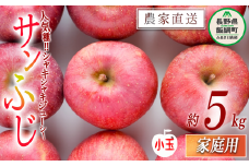 りんご サンふじ 家庭用 ( 小玉 ) 5kg 山岸ファーム 沖縄県への配送不可 2025年12月上旬頃から2025年12月下旬頃まで順次発送予定 令和7年度収穫分 信州 果物 フルーツ リンゴ 林檎 長野 11000円 予約 農家直送 長野県 飯綱町 [1155]