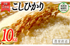 米 こしひかり 精米 10kg ( 令和5年産 ) かざまファーマー 沖縄県への配送不可 2023年10月上旬頃から順次発送予定 コシヒカリ 白米 精米 お米 信州 19500円 予約 農家直送 長野県 飯綱町 [1160]