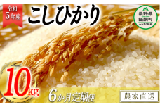 米 こしひかり 精米 10kg × 6回 【 6か月 定期便 】( 令和5年産 ) かざまファーマー 沖縄県への配送不可 2023年10月上旬頃から順次発送予定 コシヒカリ 白米 精米 お米 信州 117000円 予約 農家直送 長野県 飯綱町 [1162]