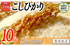 米 こしひかり 精米 10kg × 12回 【 12か月 定期便 】( 令和5年産 ) かざまファーマー 沖縄県への配送不可 2023年10月上旬頃から順次発送予定 コシヒカリ 白米 精米 お米 信州 234000円 予約 農家直送 長野県 飯綱町 [1163]
