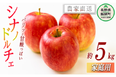 りんご シナノドルチェ 家庭用 5kg 丸山功農園 沖縄県への配送不可 2025年9月上旬頃から2025年9月下旬頃まで順次発送予定 令和7年度収穫分 信州 果物 フルーツ リンゴ 林檎 長野 12000円 予約 農家直送 長野県 飯綱町 [1171]