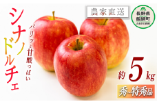 りんご シナノドルチェ 秀 ～ 特秀 5kg 丸山功農園 沖縄県への配送不可 2025年9月上旬頃から2025年9月下旬頃まで順次発送予定 令和7年度収穫分 信州 果物 フルーツ リンゴ 林檎 長野 14500円 予約 農家直送 長野県 飯綱町 [1170]