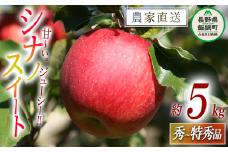 りんご シナノスイート 秀 ～ 特秀 5kg 丸山功農園 沖縄県への配送不可 2025年10月上旬頃から2025年11月上旬頃まで順次発送予定 令和7年度収穫分 信州 果物 フルーツ リンゴ 林檎 長野 14500円 予約 農家直送 長野県 飯綱町 [1172]