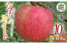 りんご シナノスイート  秀～特秀 10kg 丸茂ファーム 2024年10月中旬頃から2024年11月下旬頃まで順次発送予定 エコファーマー認定 信州の環境にやさしい農産物認証 令和6年度収穫分 フルーツ リンゴ 林檎 農家直送 予約 25500円 長野県 飯綱町 [1196]
