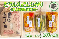 ピクルス 米 信州 飯綱町産の野菜で作った ピクルス ( 300g × 3袋 ) ＆ はぜかけ米のコシヒカリ ( 2kg )  季節の野菜つき！ 沖縄県への配送不可 いいづなピクルスの会 酢 す 保存食 漬物 サラダ ビネガー カラフル 長野県 飯綱町 [1200]
