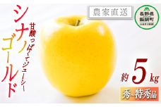 りんご シナノゴールド 秀 ～ 特秀 5kg 丸山功農園 沖縄県への配送不可 2025年10月下旬頃から2025年11月上旬頃まで順次発送予定 令和7年度収穫分 信州 果物 フルーツ リンゴ 林檎 長野 16000円 予約 農家直送 長野県 飯綱町 [1174]