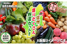 産地直送 新鮮 野菜 信州 盛りだくさん 野菜セット 長野市開発公社 沖縄県への配送不可 2023年4月上旬頃から2023年12月下旬頃まで順次発送予定 旬 農産物 野菜 きのこ 果物 ジャム セット 詰め合わせ 長野 16000円 長野県 飯綱町 [1182]