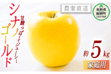 りんご シナノゴールド 家庭用 5kg 丸山功農園 沖縄県への配送不可 2025年10月下旬頃から2025年11月上旬頃まで順次発送予定 令和7年度収穫分 信州 果物 フルーツ リンゴ 林檎 長野 13500円 予約 農家直送 長野県 飯綱町 [1175]
