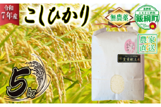米 無農薬栽培 こしひかり 5kg ( 令和7年産 ) 特別栽培米 仲俣農園 2025年10月上旬頃から順次発送予定 コシヒカリ 白米 精米 お米 無農薬 数量限定 信州 32000円 予約 農家直送 長野県 飯綱町 [1184]