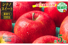 【令和７年度収穫分先行予約品】りんご ５Kg （１２〜２５玉） 訳あり シナノスイート 果物 交換保証 長野  信州 光センサー 「 感謝りんご 」  １０月発送 １１月発送 5キロ 長野県 飯綱町 [1205]