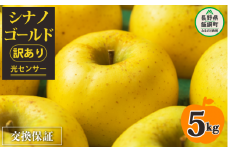 【 感謝りんご / 光センサー選別品 】 りんご シナノゴールド 訳あり 5kg （ 12玉 〜 25玉 ） 交換保証 ながの農業協同組合 沖縄県への配送不可 2025年11月上旬頃から2025年11月下旬頃まで順次発送予定 令和7年度収穫分 傷 不揃い リンゴ 林檎 果物 フルーツ 信州 長野 12000円 予約 長野県 飯綱町 [1208]