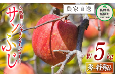 りんご サンふじ 秀 〜 特秀 5kg 丸山功農園 沖縄県への配送不可 2025年11月中旬頃から2025年12月上旬頃まで順次発送予定 令和7年度収穫分 信州 果物 フルーツ リンゴ 林檎 長野 16000円 予約 農家直送 長野県 飯綱町 [1176]