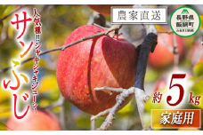 りんご サンふじ 家庭用 5kg 丸山功農園 沖縄県への配送不可 2025年11月中旬頃から2025年12月中旬頃まで順次発送予定 令和7年度収穫分 信州 果物 フルーツ リンゴ 林檎 長野 12500円 予約 農家直送 長野県 飯綱町 [1178]
