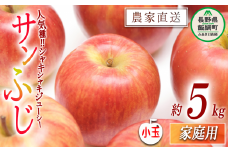 りんご サンふじ 家庭用 ( 小玉 ) 5kg 丸山功農園 沖縄県への配送不可 2025年11月中旬頃から2025年12月中旬頃まで順次発送予定 令和7年度収穫分 信州 果物 フルーツ リンゴ 林檎 長野 11000円 予約 農家直送 長野県 飯綱町 [1179]