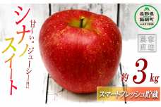 りんご シナノスイート スマートフレッシュ 3kg 丸茂ファーム 沖縄県への配送不可 2025年2月上旬頃から2025年5月上旬頃まで順次発送予定 エコファーマー認定 信州の環境にやさしい農産物認証 令和6年度収穫分 フルーツ リンゴ 林檎 農家直送 予約 15000円 長野県 飯綱町 [1197]