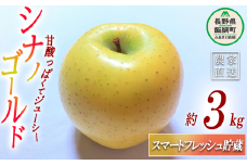 りんご シナノゴールド スマートフレッシュ 3kg 丸茂ファーム 沖縄県への配送不可 2025年2月上旬頃から2025年5月上旬頃まで順次発送予定 エコファーマー認定 信州の環境にやさしい農産物認証 令和6年度収穫分 フルーツ リンゴ 林檎 農家直送 予約 15000円 長野県 飯綱町 [1198]